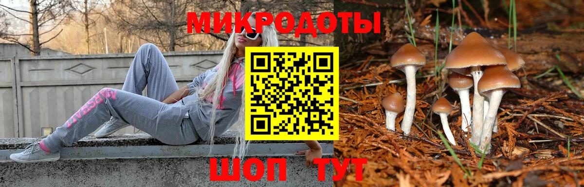 Галлюциногенные грибы GOLDEN TEACHER Элиста